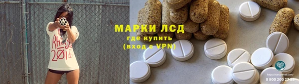 индика Абаза