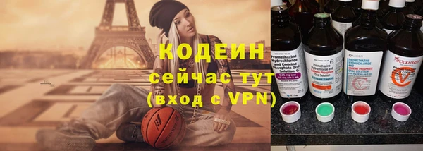 индика Абаза