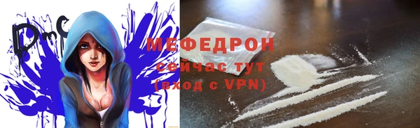 индика Абаза