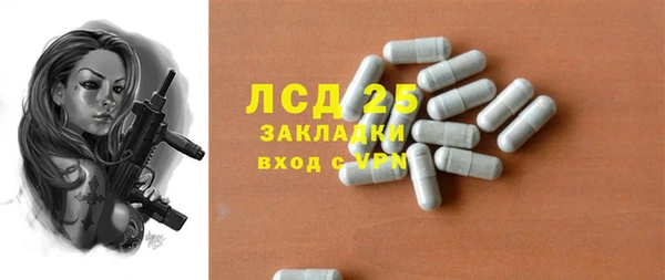 индика Абаза