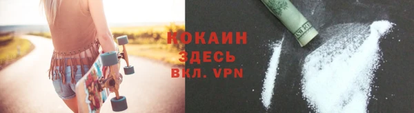 индика Абаза
