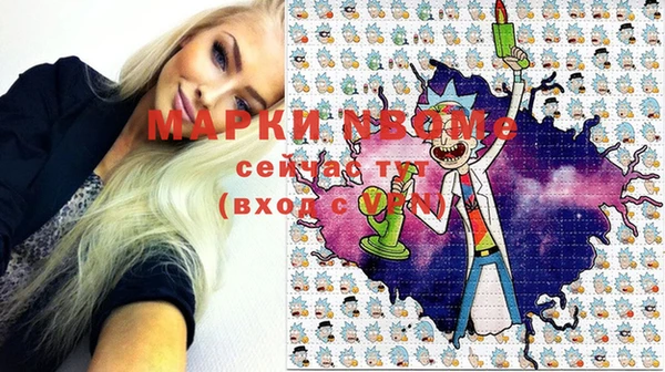 индика Абаза