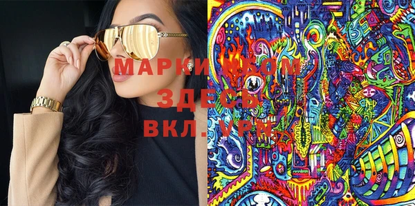 индика Абаза