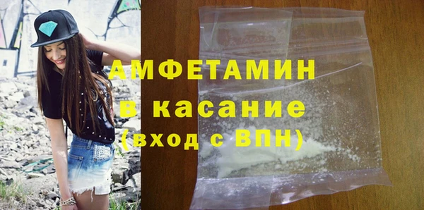 индика Абаза