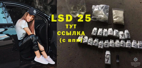 индика Абаза