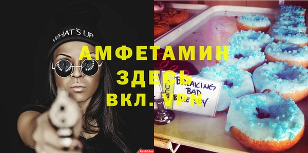 индика Абаза