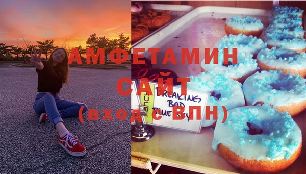 индика Абаза